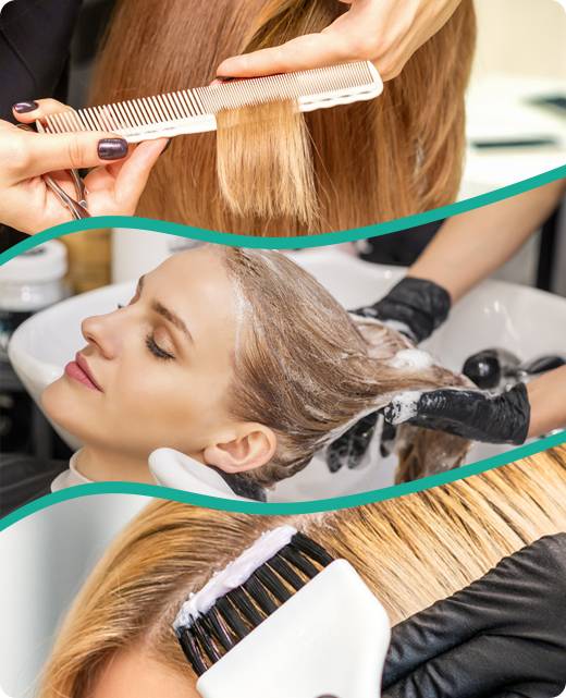 De la Racine aux Pointes